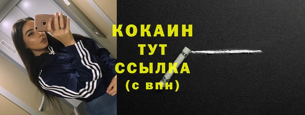дживик Бронницы