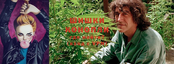 дживик Бронницы