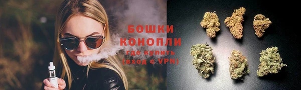spice Бородино