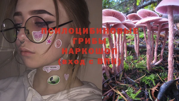 дживик Бронницы