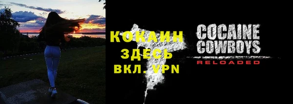 дживик Бронницы