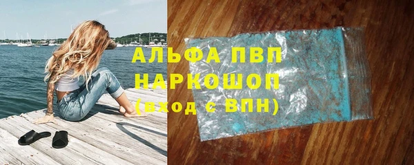 spice Бородино