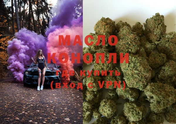 дживик Бронницы