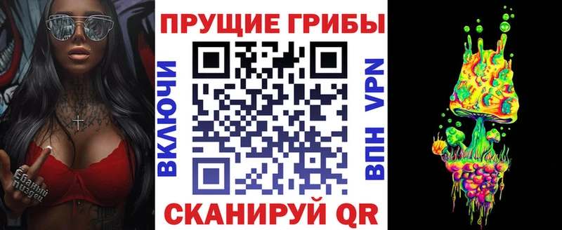 Псилоцибиновые грибы Psilocybine cubensis  Орехово-Зуево 